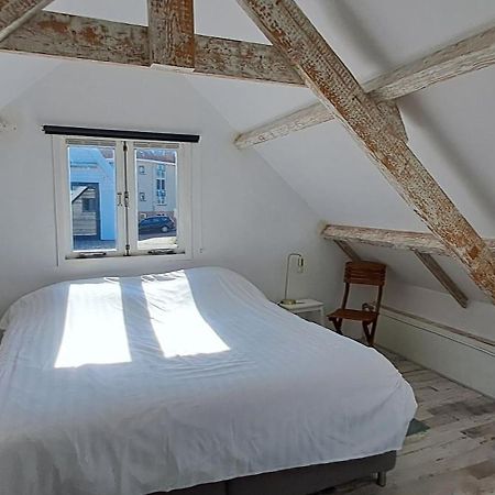 Zilvermeeuw Bergen aan Zee Ngoại thất bức ảnh