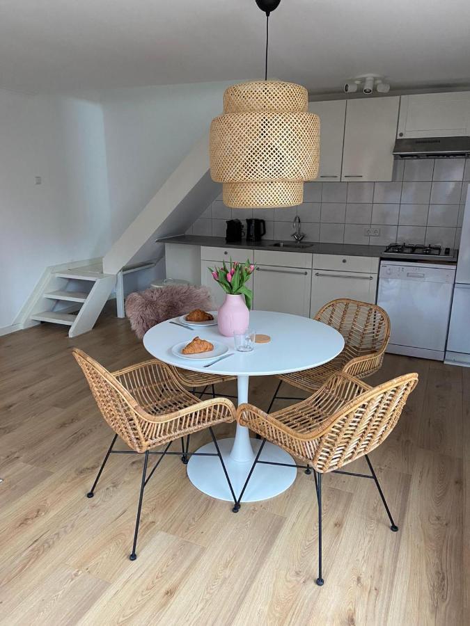 Zilvermeeuw Bergen aan Zee Ngoại thất bức ảnh