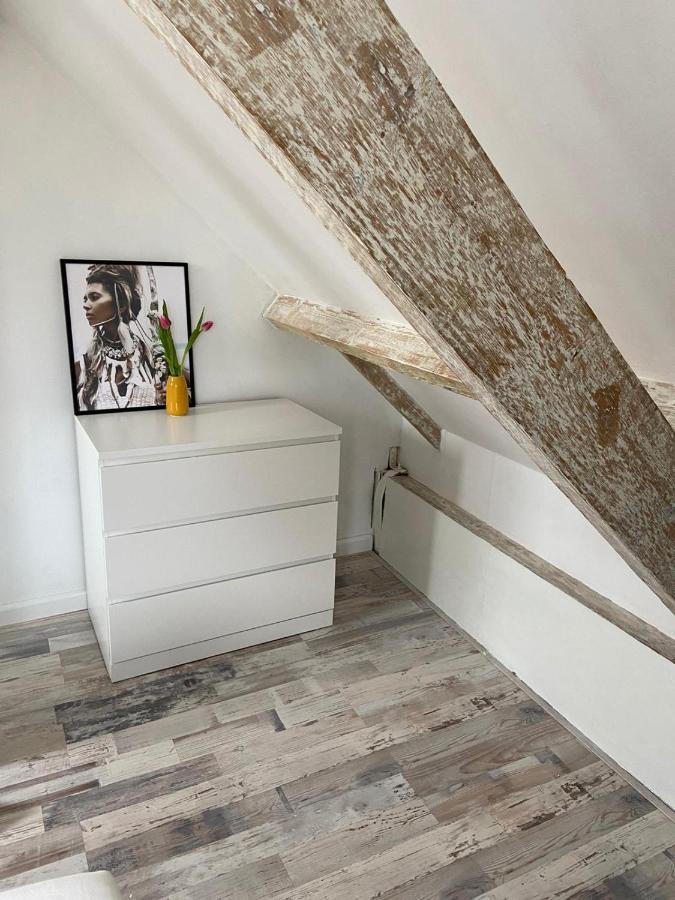 Zilvermeeuw Bergen aan Zee Ngoại thất bức ảnh