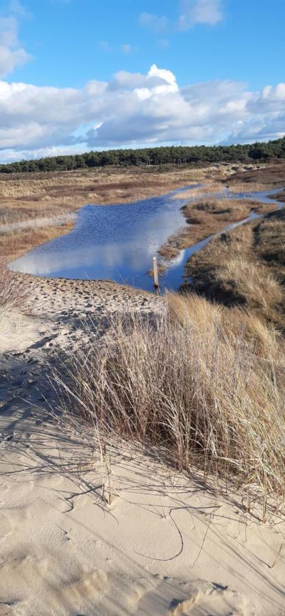 Zilvermeeuw Bergen aan Zee Ngoại thất bức ảnh