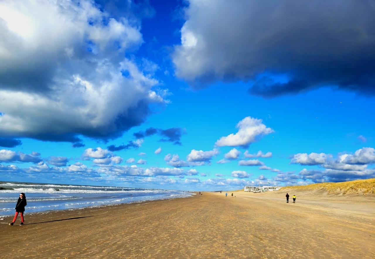 Zilvermeeuw Bergen aan Zee Ngoại thất bức ảnh