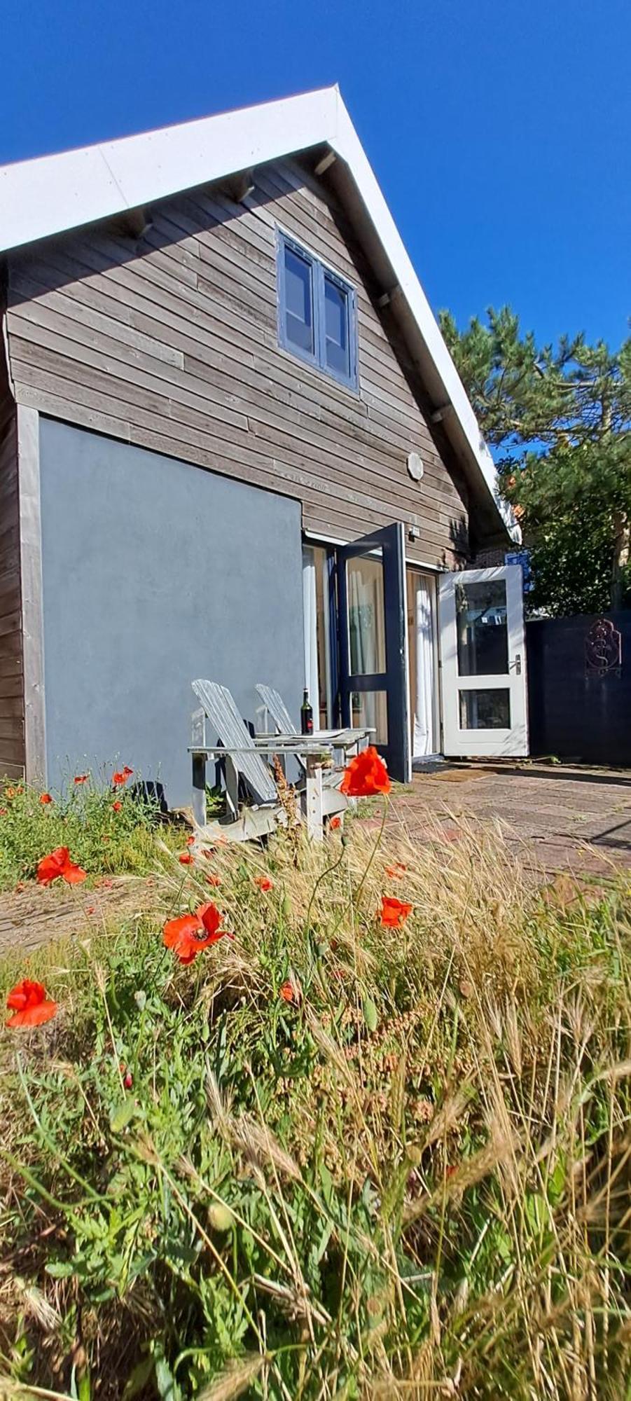 Zilvermeeuw Bergen aan Zee Ngoại thất bức ảnh