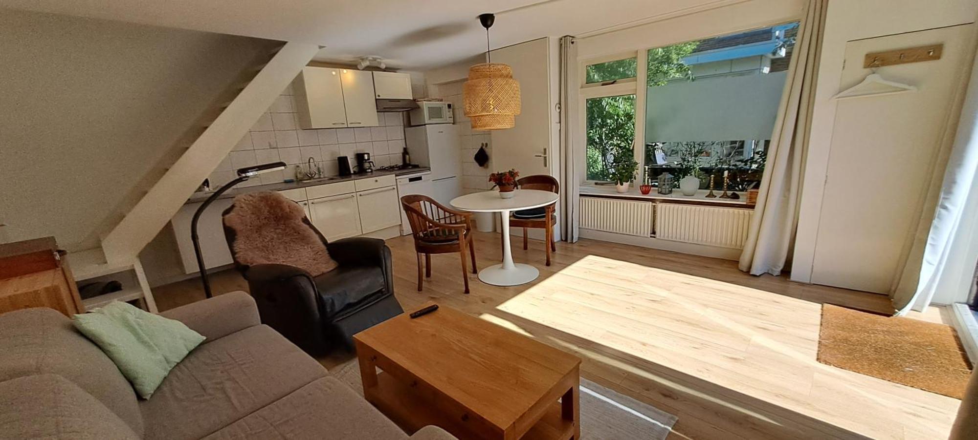 Zilvermeeuw Bergen aan Zee Ngoại thất bức ảnh