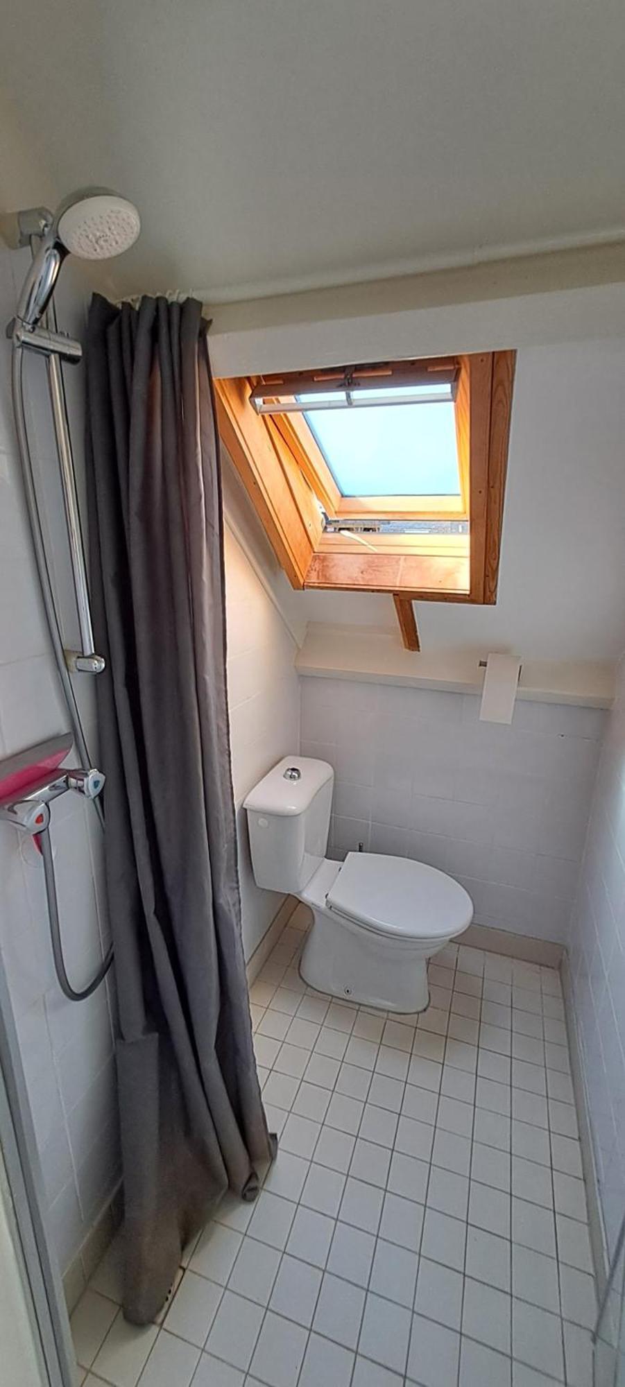 Zilvermeeuw Bergen aan Zee Ngoại thất bức ảnh