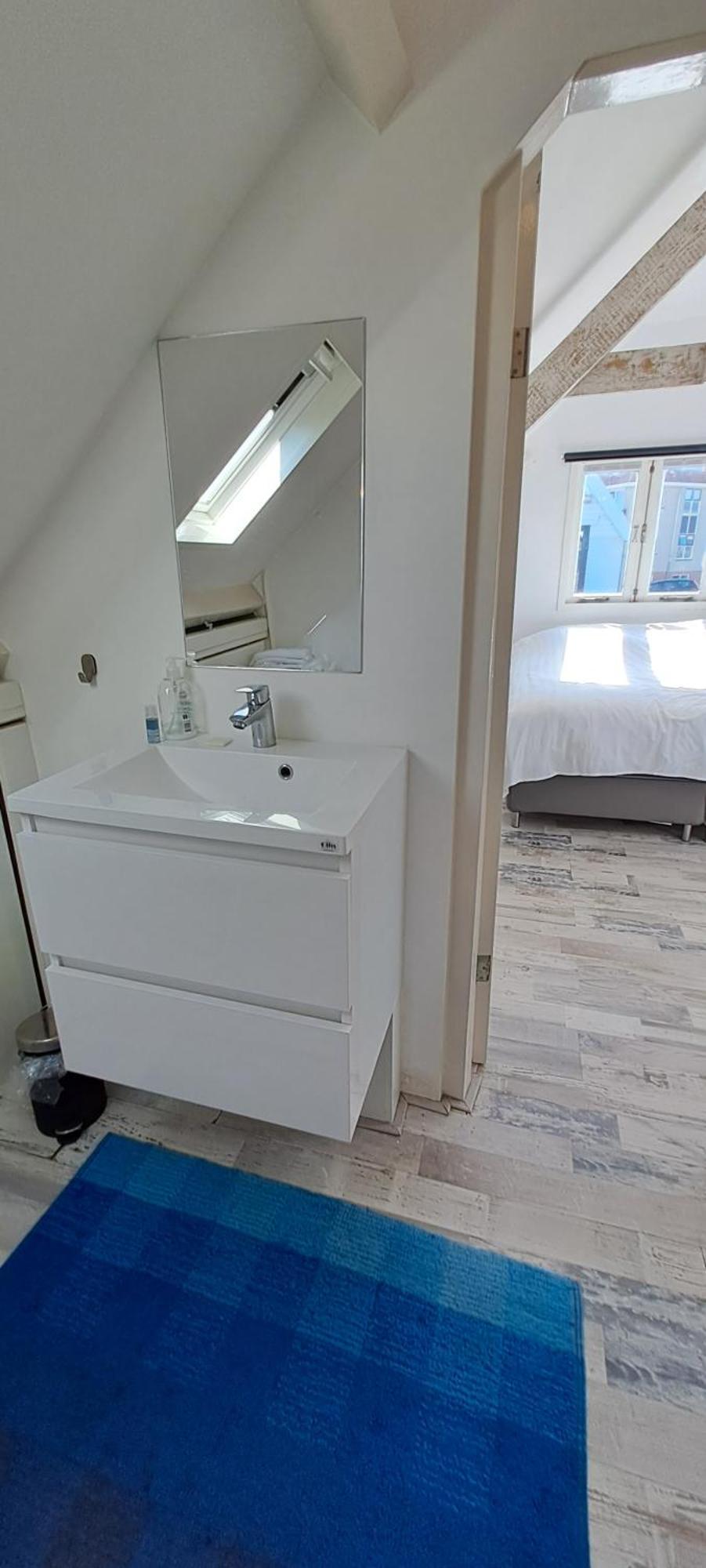 Zilvermeeuw Bergen aan Zee Ngoại thất bức ảnh